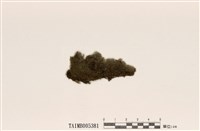 藏品(網絨衣)的圖片